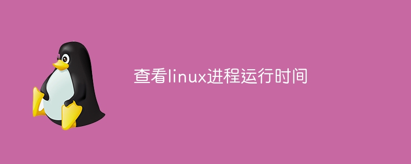 查看linux进程运行时间