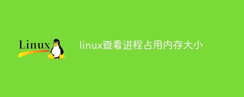 linux查看进程占用内存大小