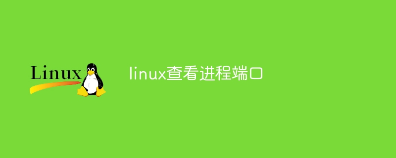 linux查看进程端口