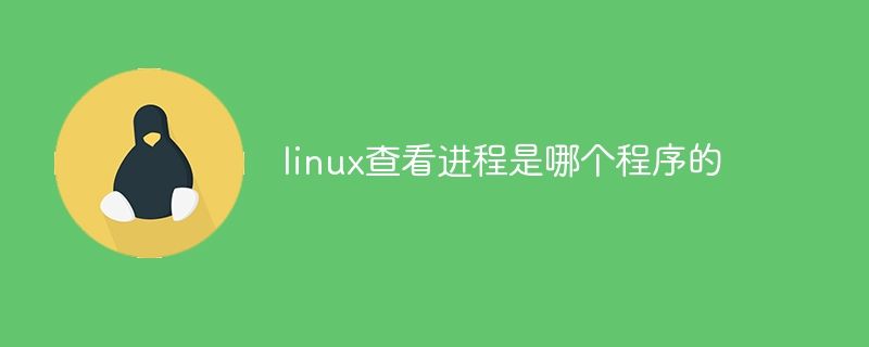 linux查看进程是哪个程序的