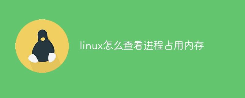 linux怎么查看进程占用内存