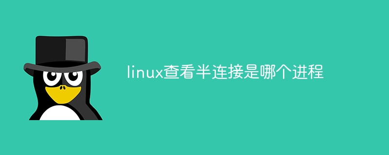 linux查看半连接是哪个进程