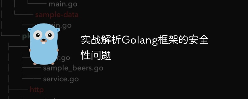 实战解析golang框架的安全性问题