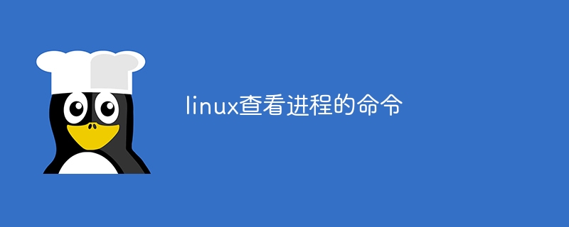 linux查看进程的命令