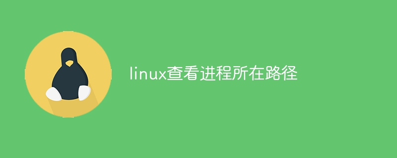 linux查看进程所在路径